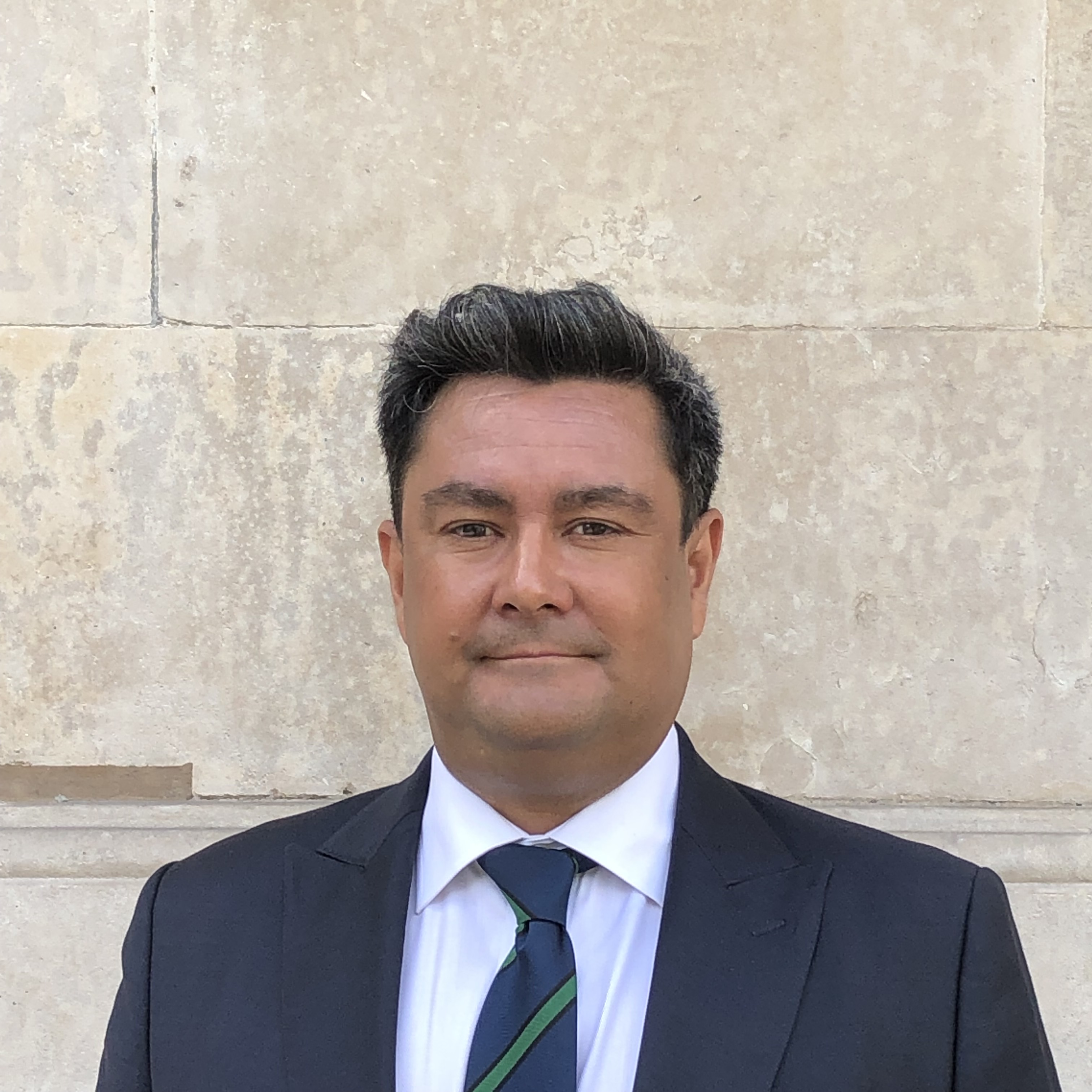 Renewable energy professional